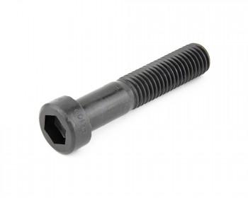 SOC CAP LOW HD GRD10.9 M10x30????????HOLOKROME 69516????????8.00mm KEY????????